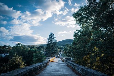 Empty road along trees and plants against sky