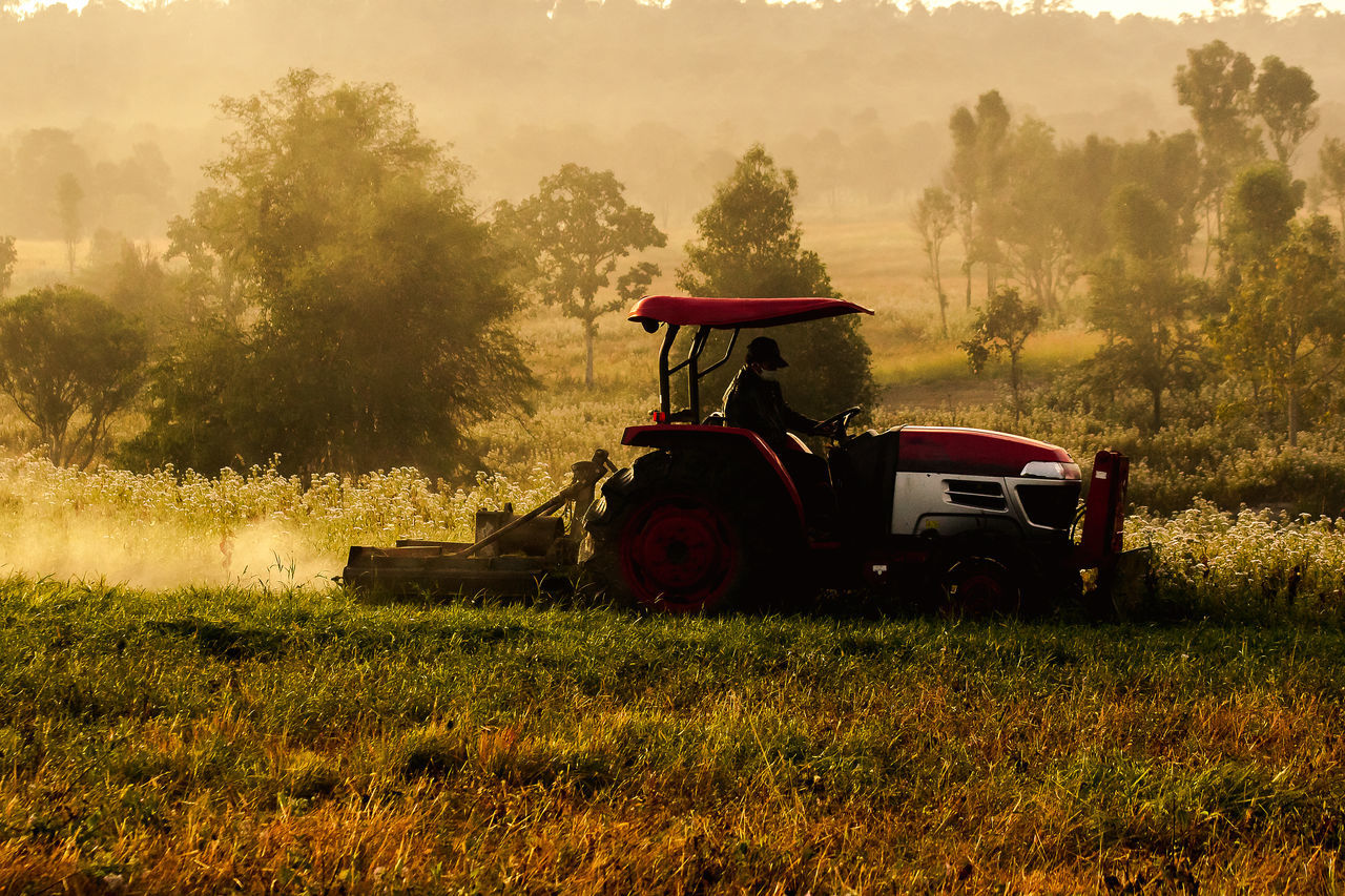 TRACTOR ON FIELD AGAINST TREES AND CLEAR SKY