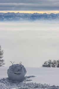 Snowy landscape