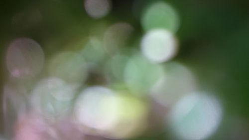 Defocused image of blurred background
