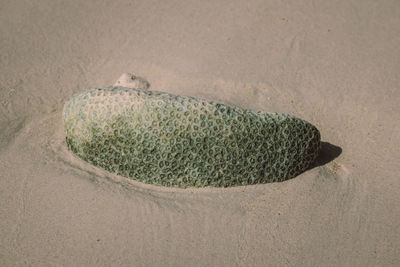 High angle view of pebbles on sand