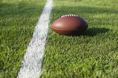 Close-up of golf ball on grass