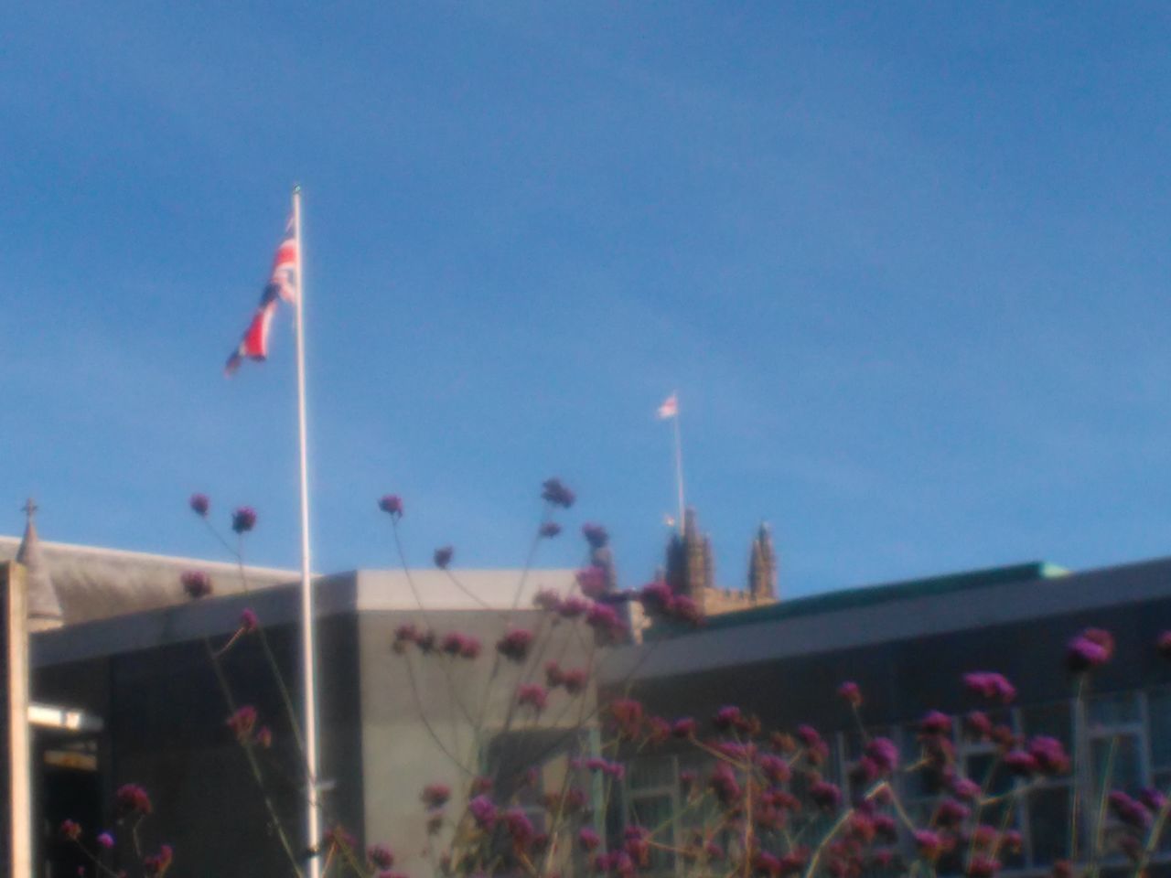 LOW ANGLE VIEW OF FLAG FLAGS AGAINST CLEAR SKY