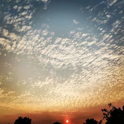 Low angle view of silhouette trees against sky during sunset