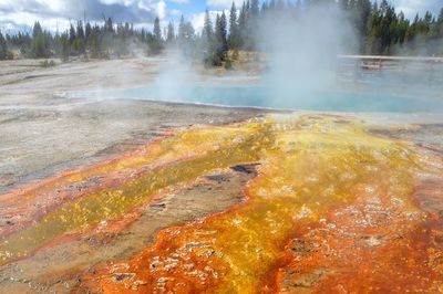 Thermal yellowstone