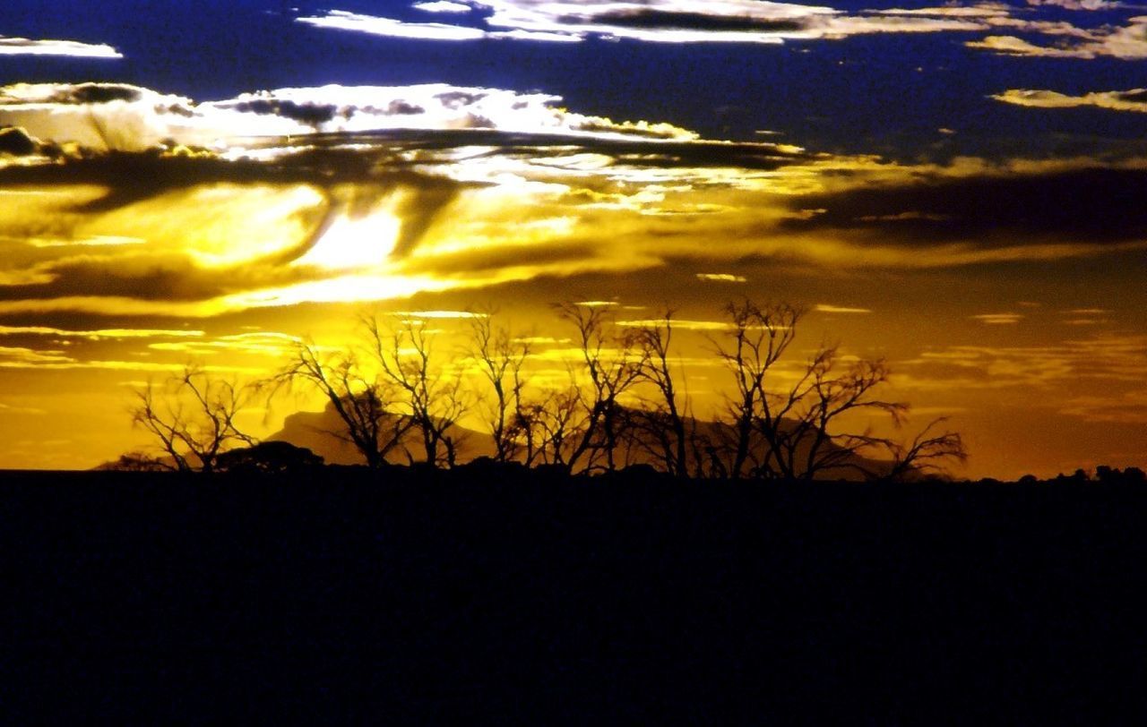 SILHOUETTE PLANTS ON LANDSCAPE AGAINST SKY DURING SUNSET