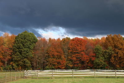 Trees on autumn landscape against sky