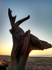 Close-up of tree trunk by sea against clear sky