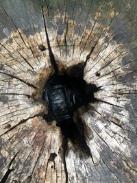 Full frame shot of wood