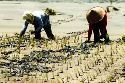 Rear view of men working