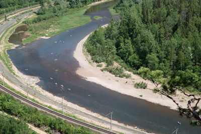 High angle view of road amidst trees