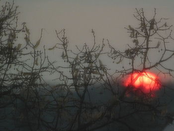 Bare trees against sky at sunset