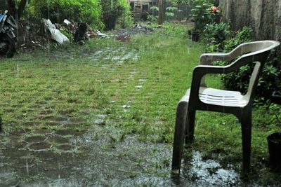 Empty chair against trees