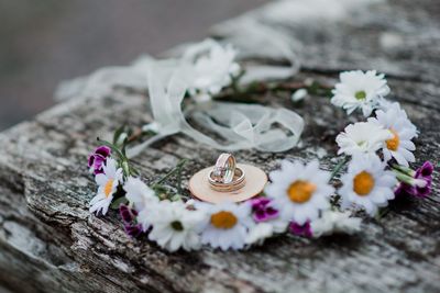 High angle view of white flowers on wood