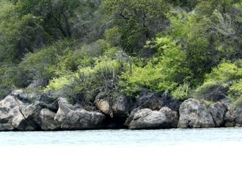 River flowing through rocks