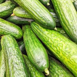 Full frame shot of vegetables, cucumber
