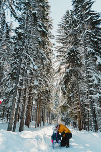 Scenic view of snow covered landscape