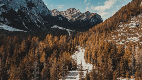 Scenic view of snowcapped mountains