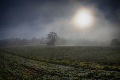 Scenic view of field against sky during foggy weather