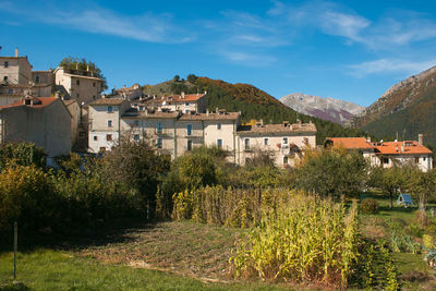 Trees and houses by buildings against sky