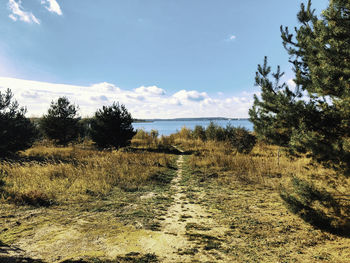 Scenic view of field against sky