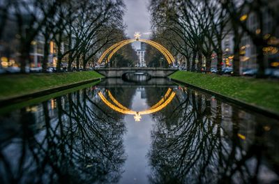 Reflection of trees in water in park