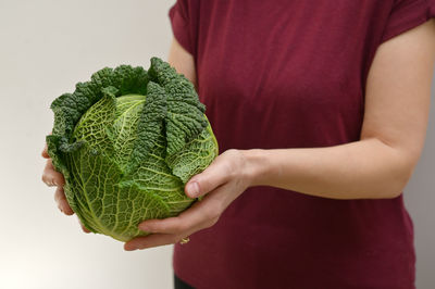 Midsection of man holding cabbage against white background