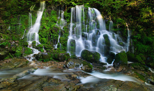 View of waterfall in forest