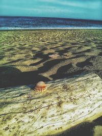 Close-up of sand on beach against sky