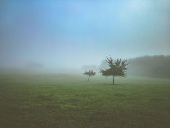 Scenic view of field in foggy weather