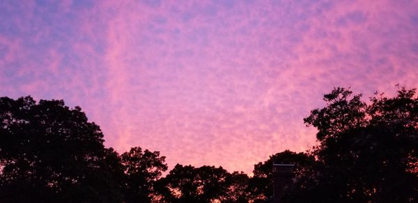 Low angle view of silhouette trees against dramatic sky