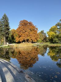 Reflection of trees in lake against sky during autumn