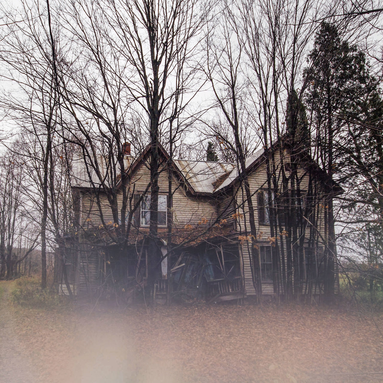 BARE TREES BY ABANDONED HOUSE AGAINST SKY