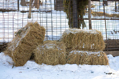 Square bales of meadow hay on the farm for feeding farm animals lie on the snow