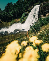 Scenic view of waterfall