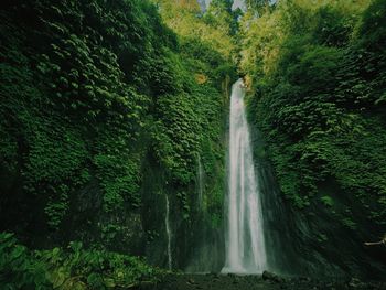 Waterfall Bali