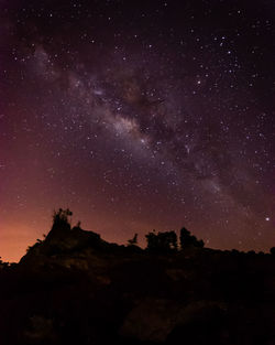 Low angle view of silhouette field against sky at night