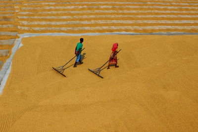 Colors of rural life. man and woman are walking on the golden paddy drying ground in india.