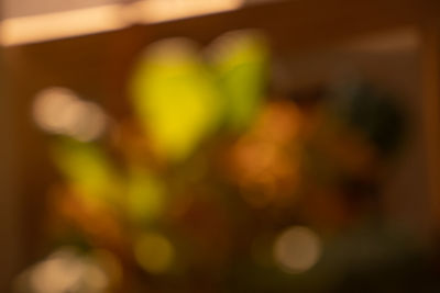 Defocused image of yellow lights