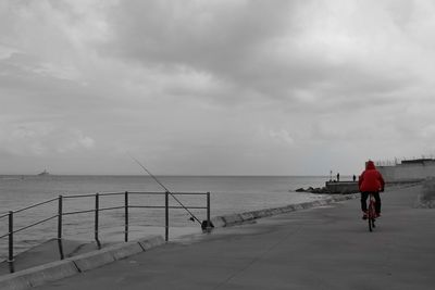 Rear view of man on bicycle by sea against sky