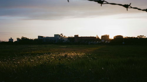 Scenic view of field against sky during sunset