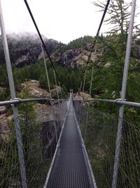 Footbridge over river in forest