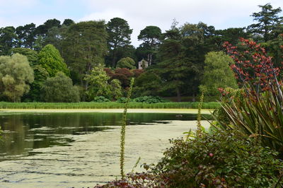 Scenic view of lake