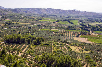 High angle view of agricultural field against sky