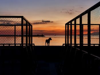 Silhouette people walking on pier