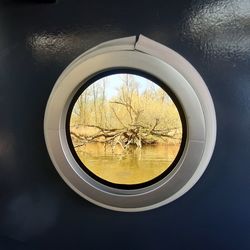 Reflection of trees on glass window