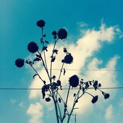 Low angle view of trees against blue sky