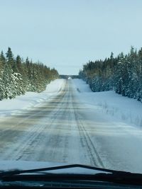 Snow covered road amidst trees against sky