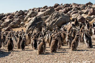 Panoramic view of a rock formation