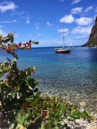 Sailboats sailing in sea